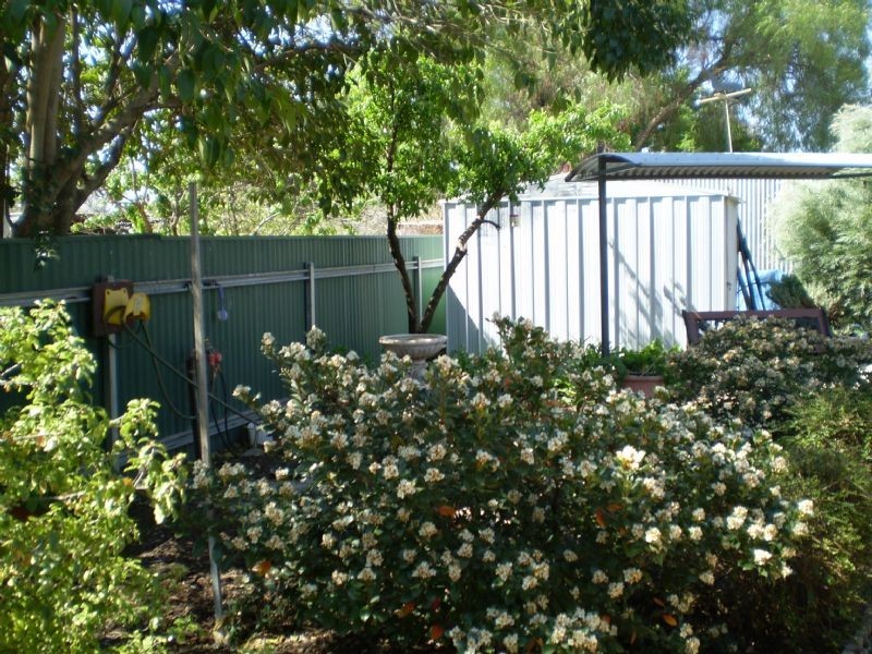 36 William Street, Urana NSW 2645