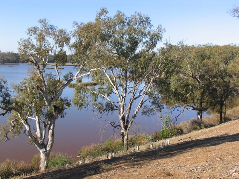 22 Lake Moodemere Road, Rutherglen VIC 3685