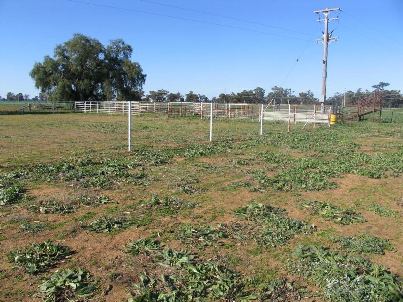 Lot 2 Parinda Whitehead St, Corowa NSW 2646