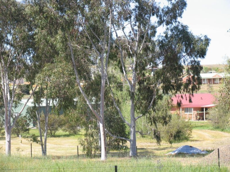 17 Sheridan Court, Rutherglen VIC 3685