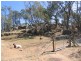 269 Naylors Road, Springhurst VIC 3682