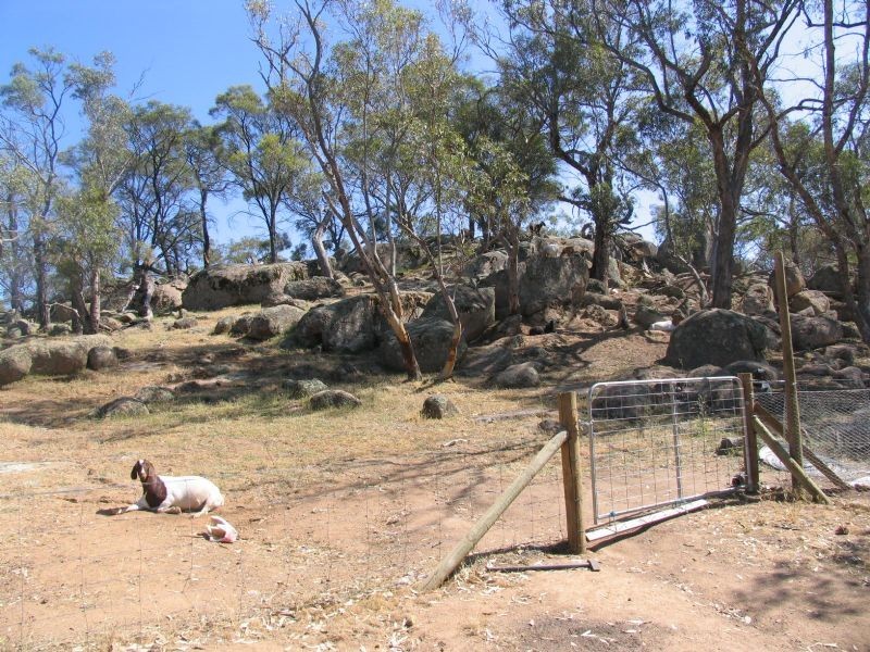 269 Naylors Road, Springhurst VIC 3682