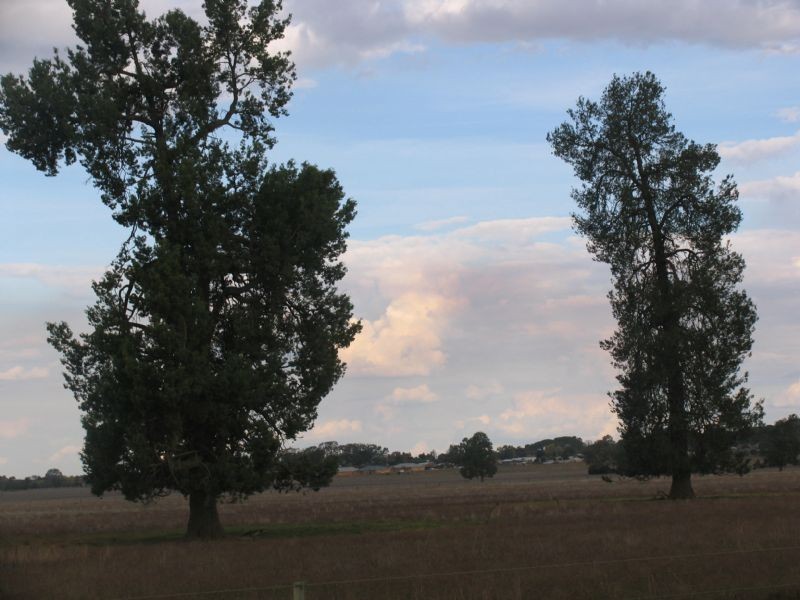 VACANT LAND Lot 6 Cemetery Whitehead Sts, Corowa NSW 2646