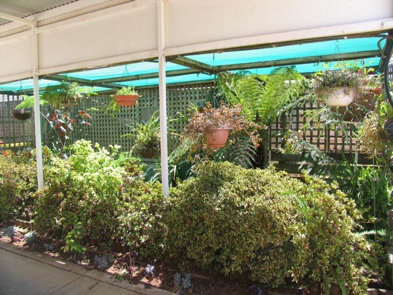 109 Guy Street, Corowa NSW 2646