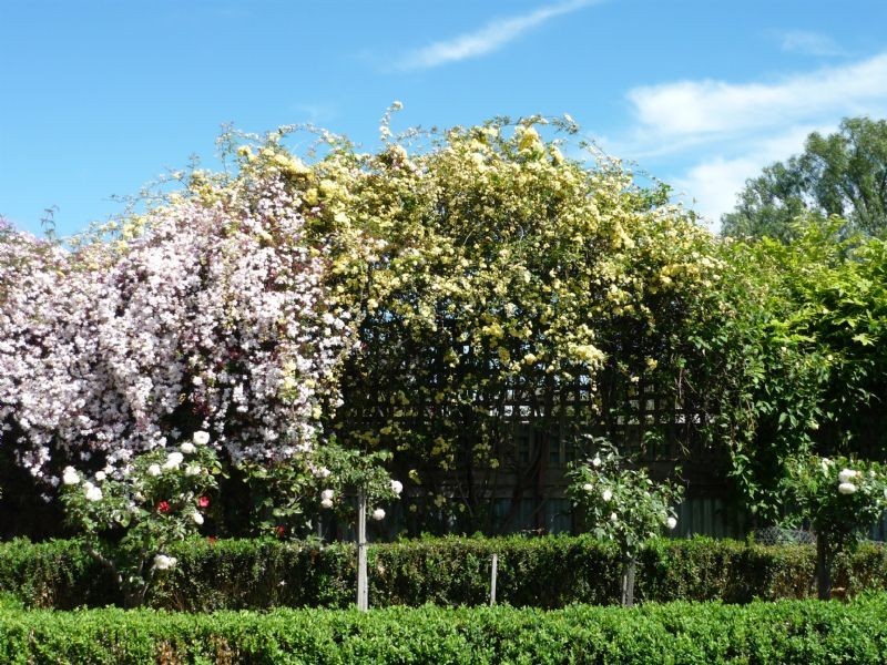 183 River Street, SOUTH, Corowa NSW 2646