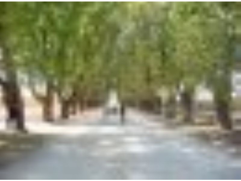 VACANT LAND Lot 3 Victoria Street, Wahgunyah VIC 3687