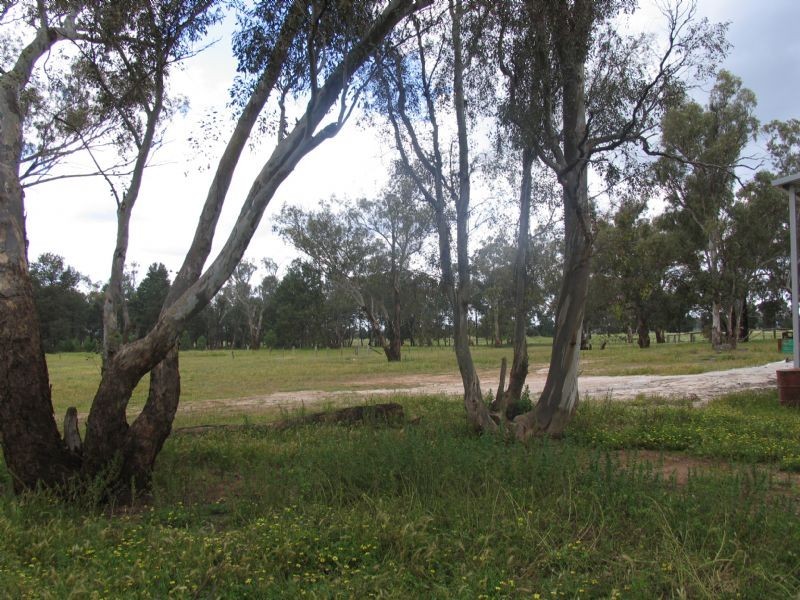 175 Church Street, South, Corowa NSW 2646