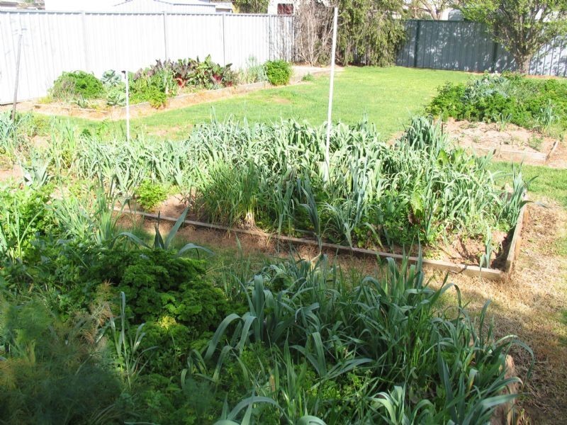 240 Adam Street, Corowa NSW 2646