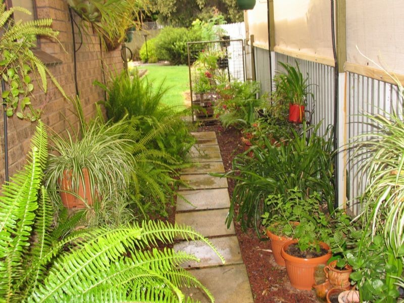 41 Victoria Street, Wahgunyah VIC 3687