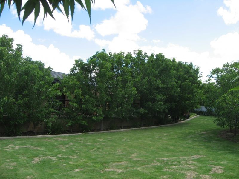 17 Murray Street, Corowa NSW 2646