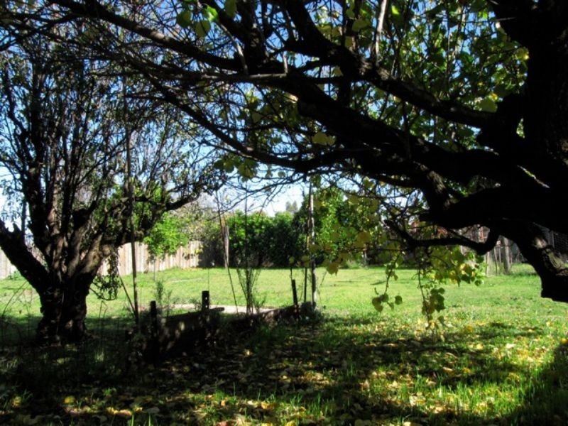 383 Honour Avenue, Corowa NSW 2646