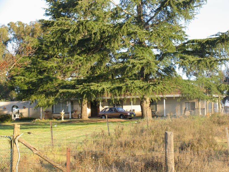 Caernarvon Lavis Road, Corowa NSW 2646