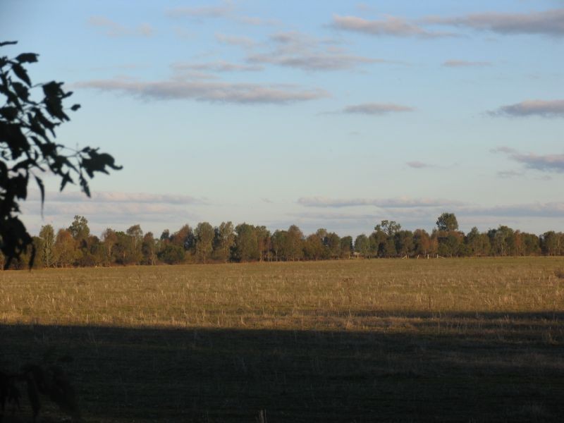 ‘Carlyle’ Burrows Road, Wahgunyah VIC 3687