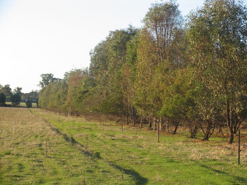 ‘Carlyle’ Burrows Road, Wahgunyah VIC 3687