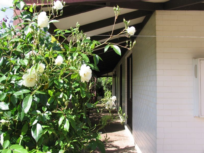 393 Distillary Road, Wahgunyah VIC 3687