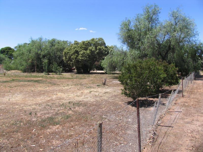 ‘Werea’ Denison Street, Daysdale NSW 2646