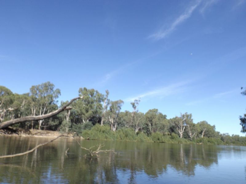 14 Riesling Street, Corowa NSW 2646