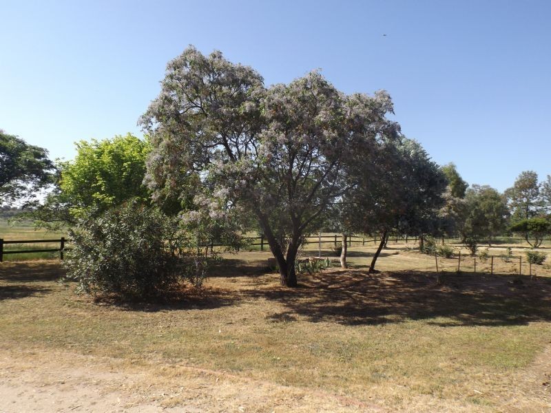 25 Nashs Road, Rutherglen VIC 3685