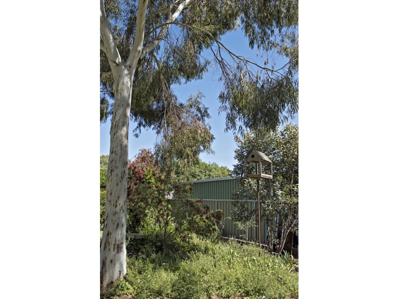 246 River Street, Corowa NSW 2646