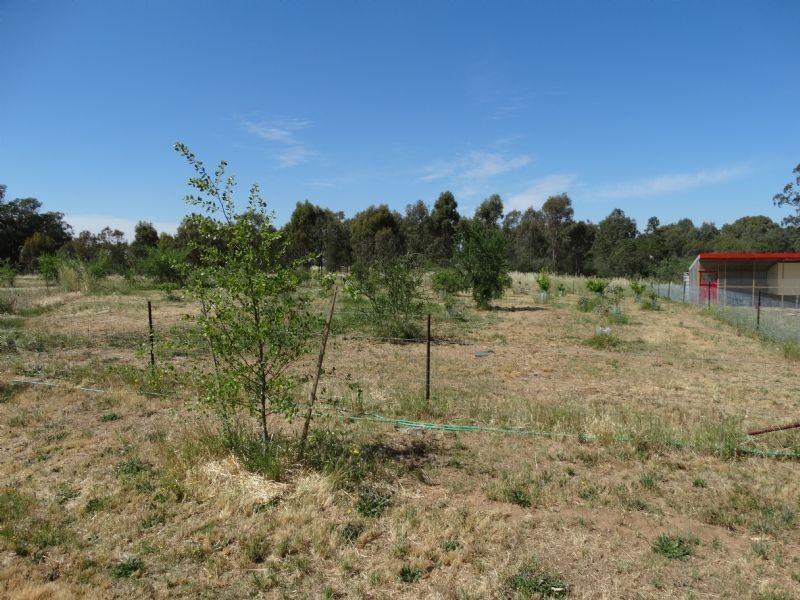 163 All Saints Road, Wahgunyah VIC 3687