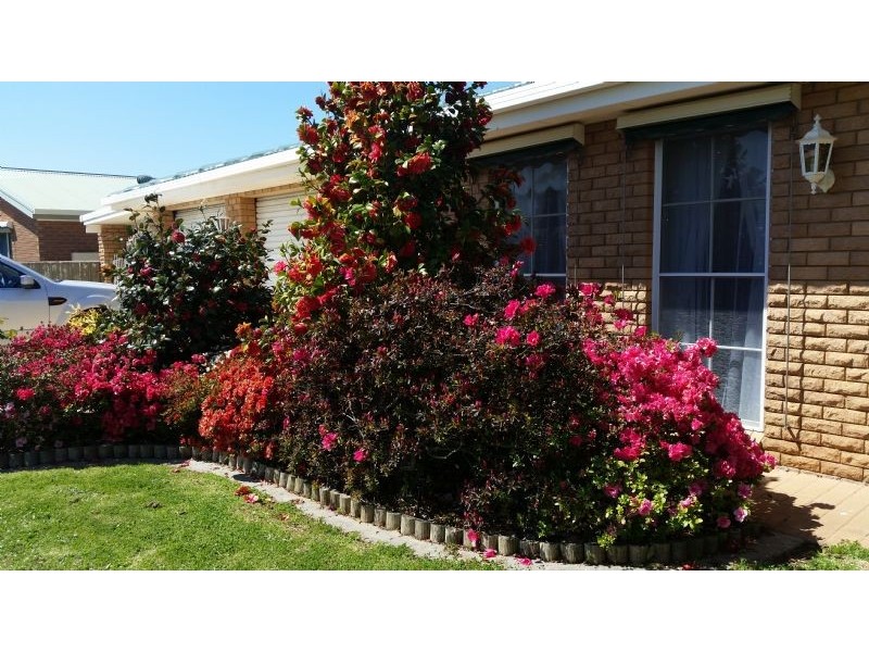 17 Banksia Drive, Corowa NSW 2646