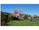 17 Banksia Drive, Corowa NSW 2646