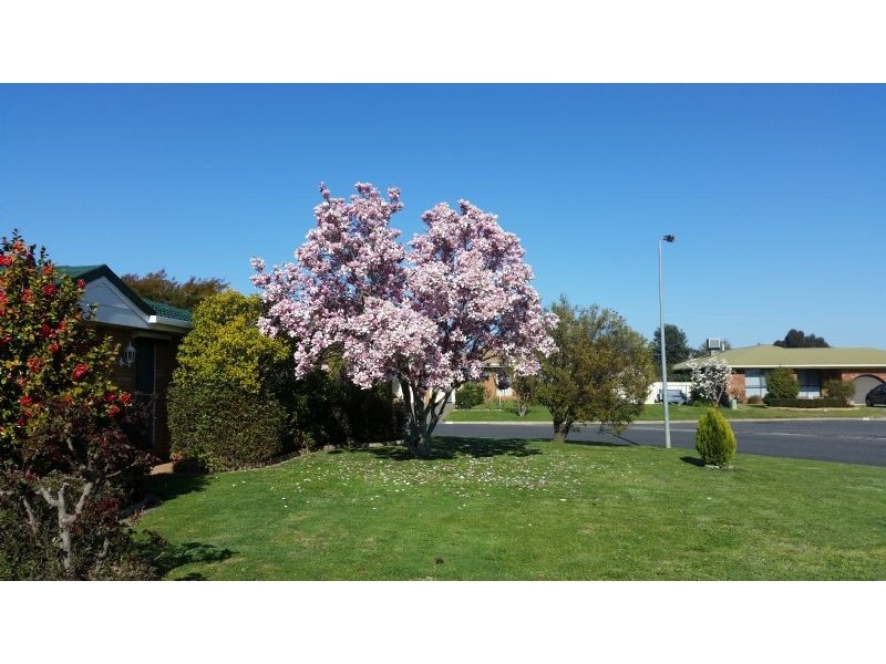 17 Banksia Drive, Corowa NSW 2646