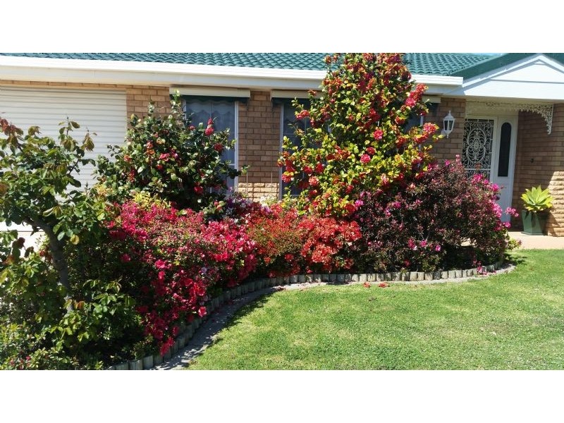 17 Banksia Drive, Corowa NSW 2646