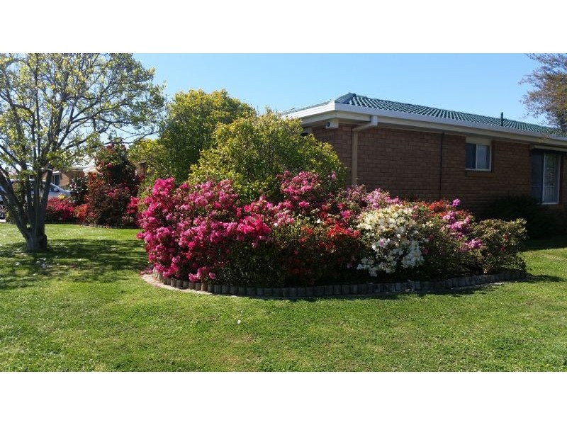 17 Banksia Drive, Corowa NSW 2646