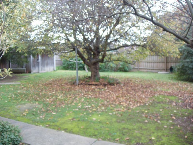 11 SYLVIA STREET, Dandenong North VIC 3175