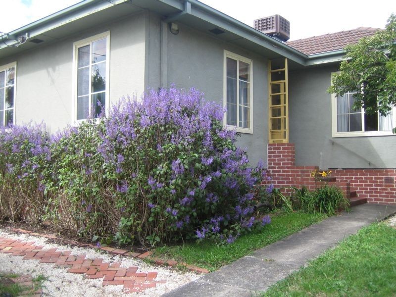 19 Lexton Avenue, Dandenong VIC 3175