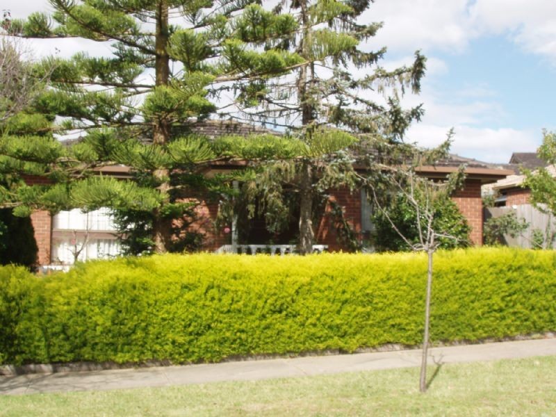 16 DAMPIER COURT, Endeavour Hills VIC 3802