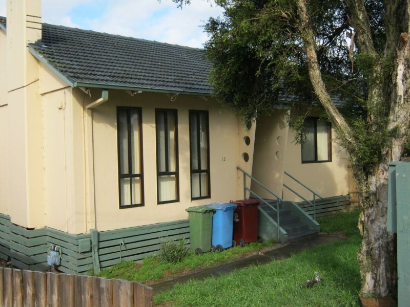 12 Jesson Crescent, Dandenong VIC 3175