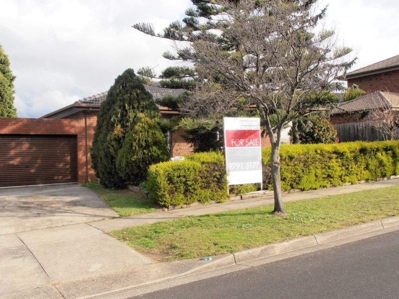 16 DAMPIER COURT, Endeavour Hills VIC 3802