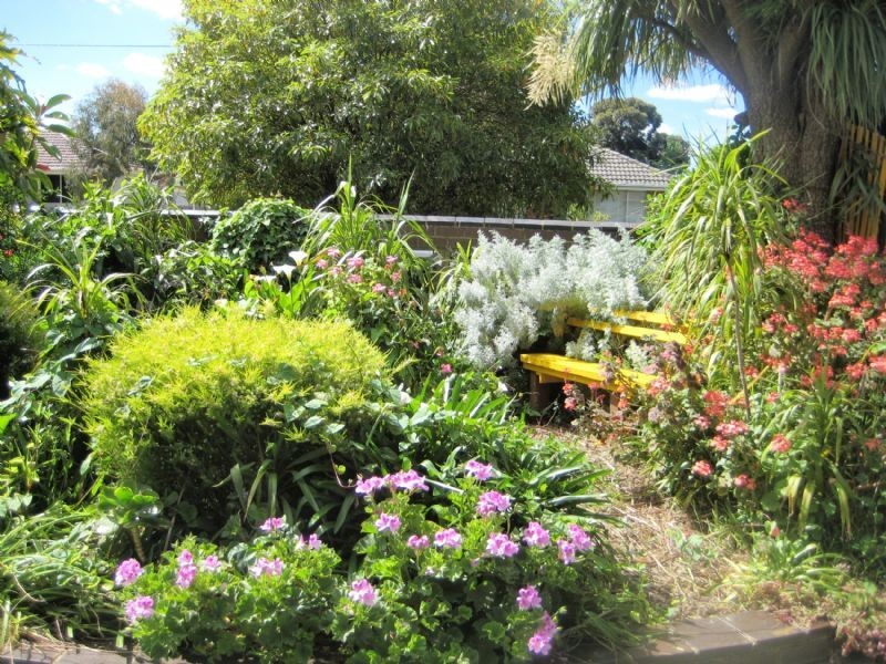 51 Albert Road, Hallam VIC 3803