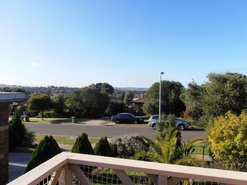 20 Mueller Court, Endeavour Hills VIC 3802