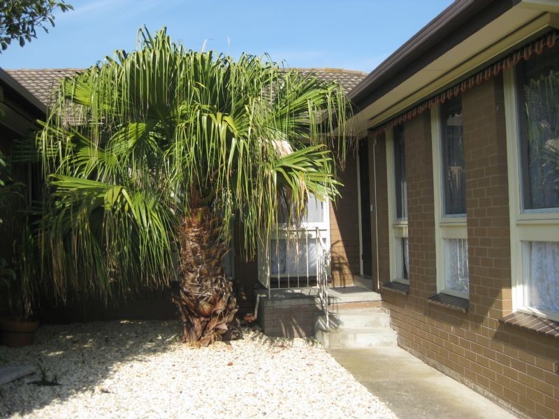 3/161 Cleeland Street, Dandenong VIC 3175