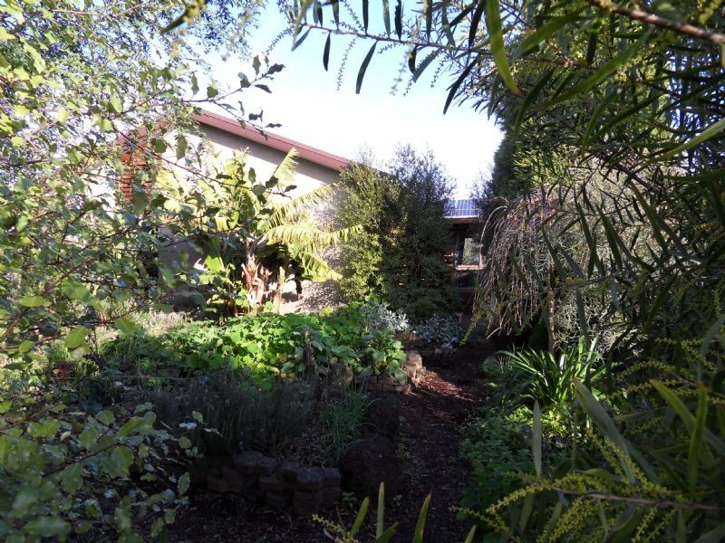 16 Currajong Street, Dandenong North VIC 3175
