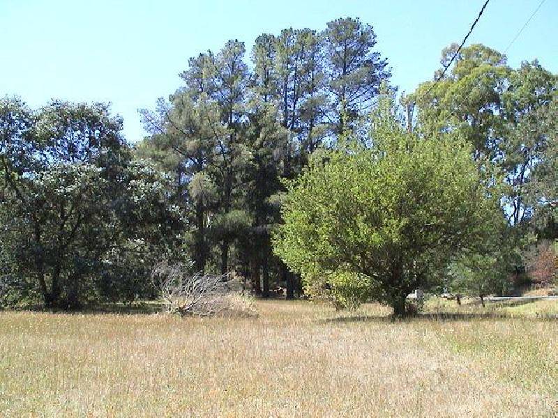 Hepburn Springs VIC 3461