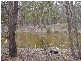 Glenlyon VIC 3461