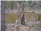 Glenlyon VIC 3461