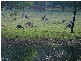 Glenlyon VIC 3461