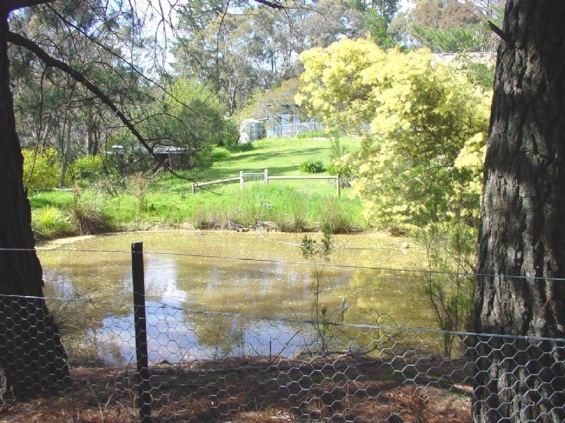 Hepburn Springs VIC 3461