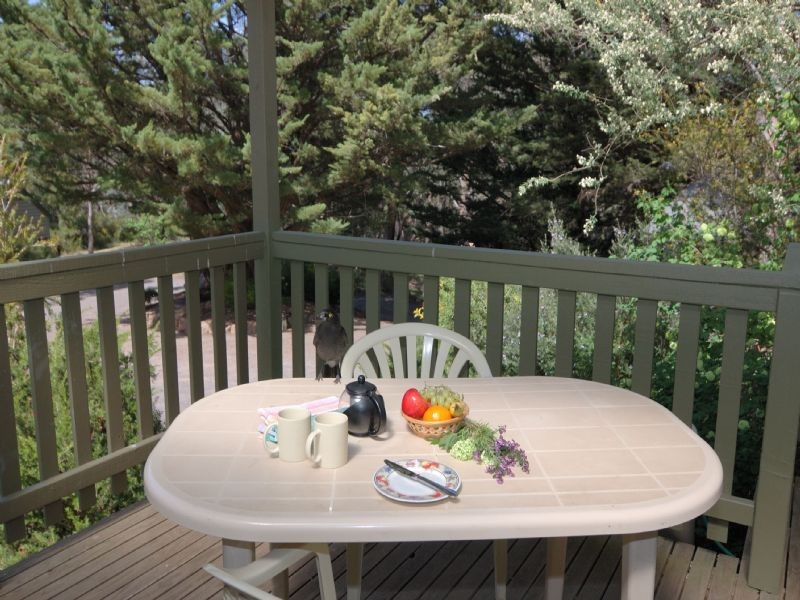 Hepburn Springs VIC 3461