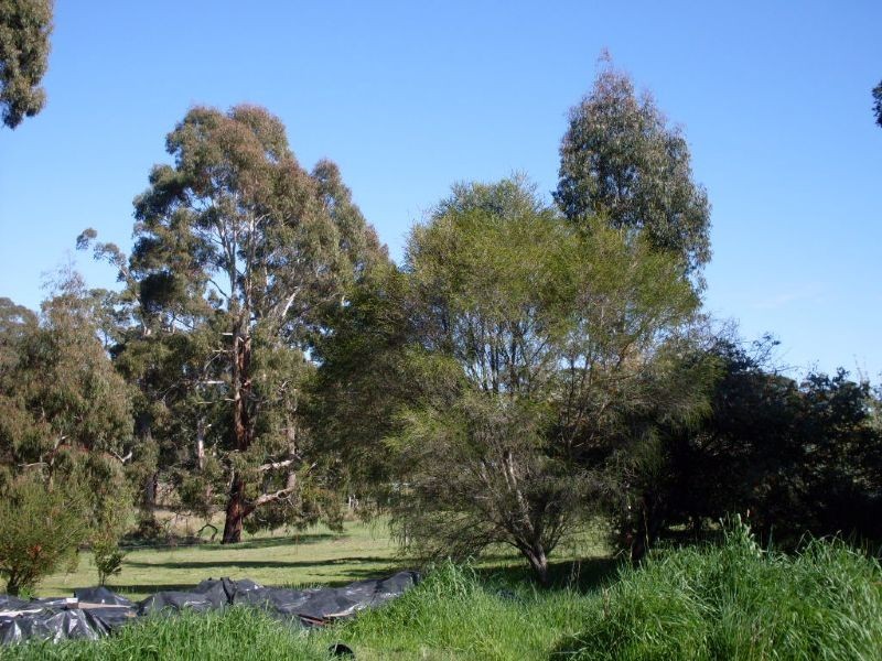 15 Gooches, Daylesford VIC 3460