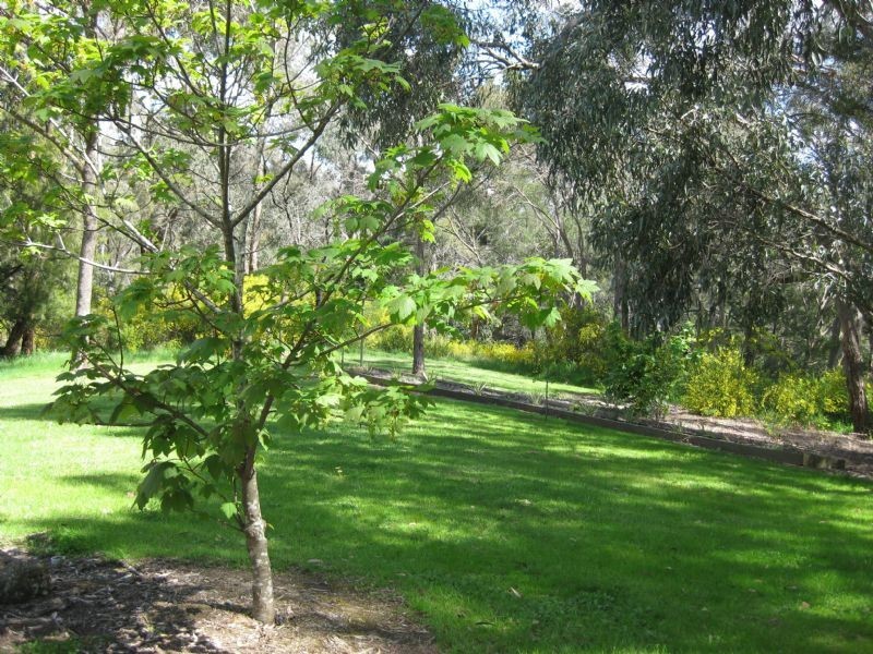 7 Forest, Daylesford VIC 3460