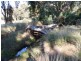Daylesford VIC 3460