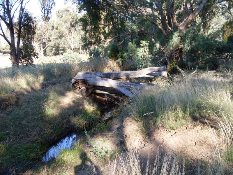 Daylesford VIC 3460