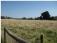 Daylesford VIC 3460