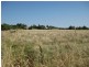 Daylesford VIC 3460